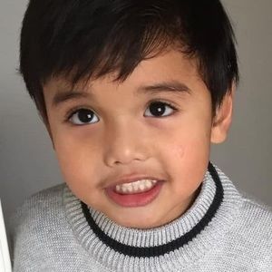 Meet your Posher, Van